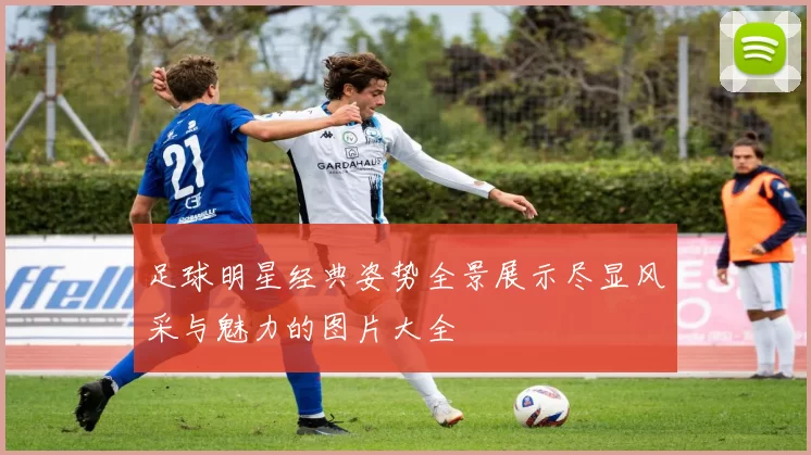 足球明星经典姿势全景展示尽显风采与魅力的图片大全