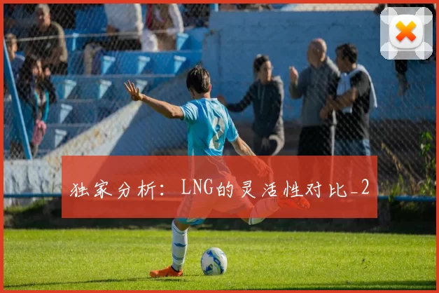 独家分析：LNG的灵活性对比_2