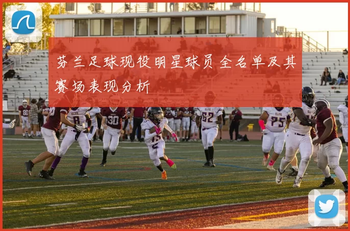 芬兰足球现役明星球员全名单及其赛场表现分析