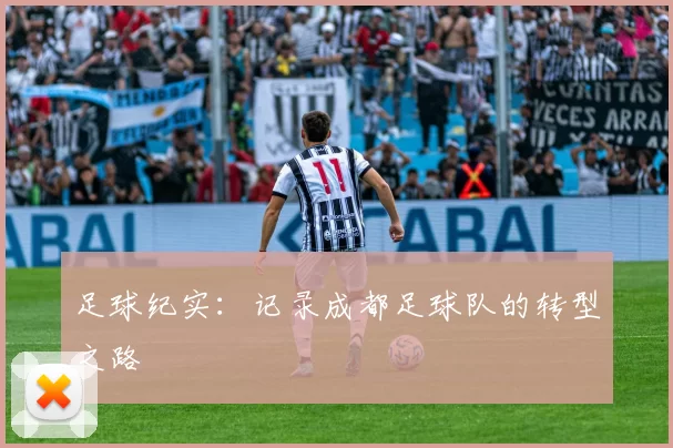 足球纪实：记录成都足球队的转型之路