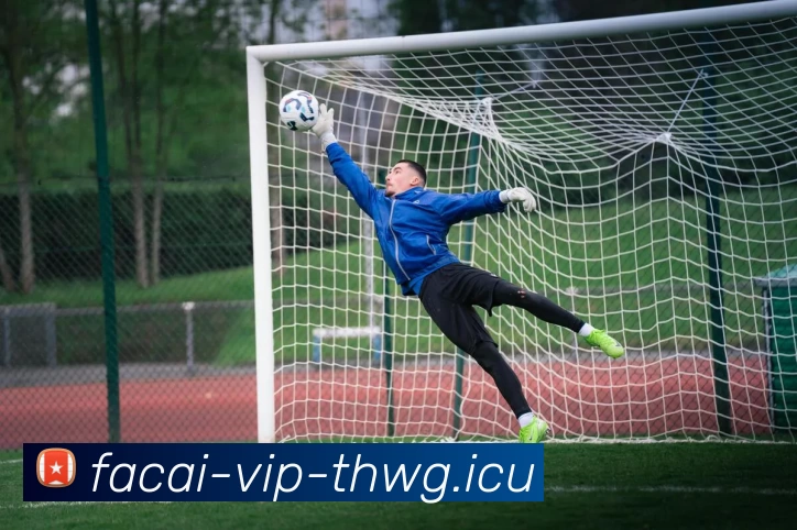 星空体育APP 体育赛事宣传图